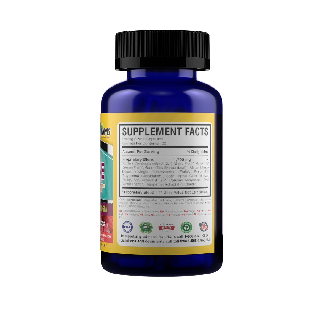 Raspberry Ketone with Garcinia (60 Capsules)